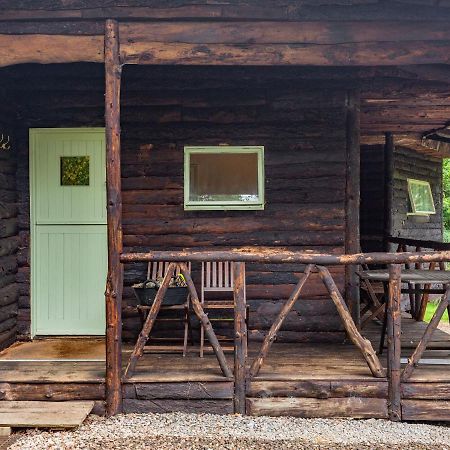 The Log Cabin Honiton Zewnętrze zdjęcie
